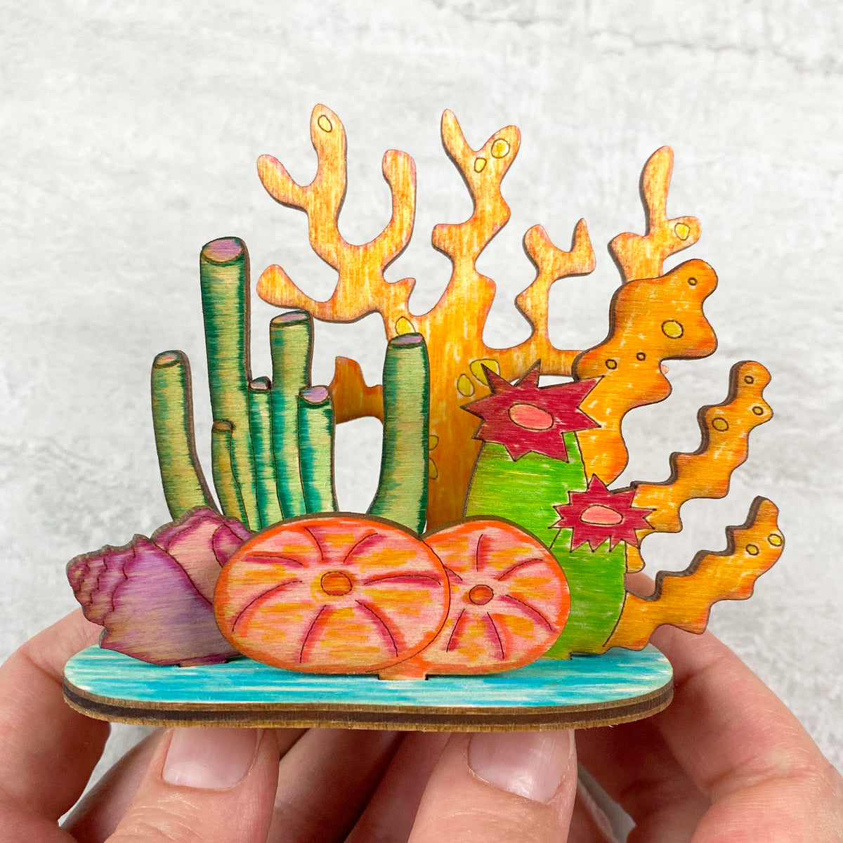 Coral Reef Diorama Kit - Bright Beam Goods
