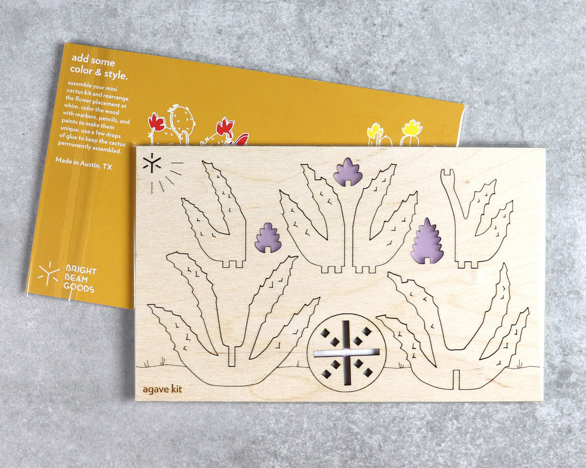 Agave cactus kit in packaging