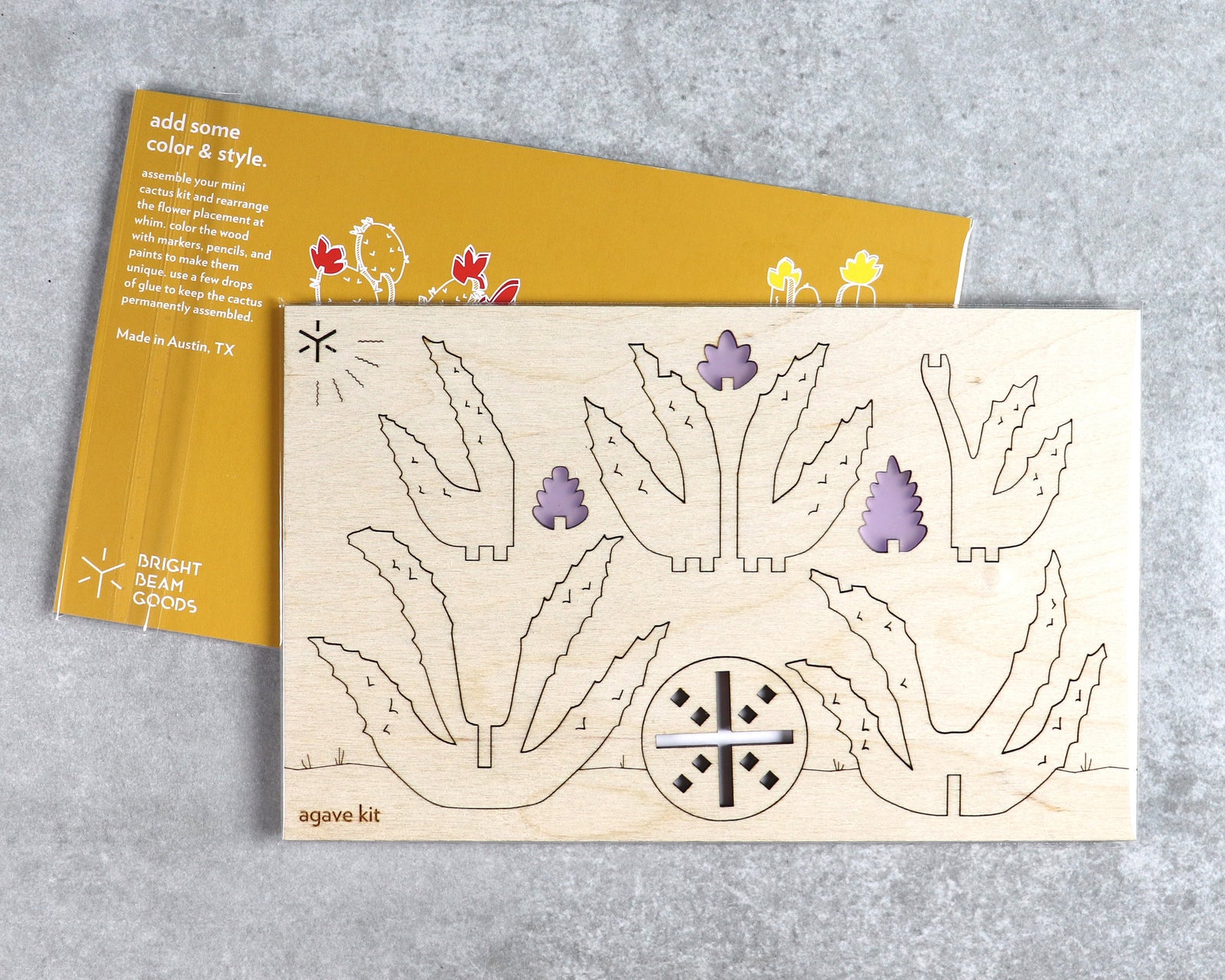 Agave cactus kit in packaging