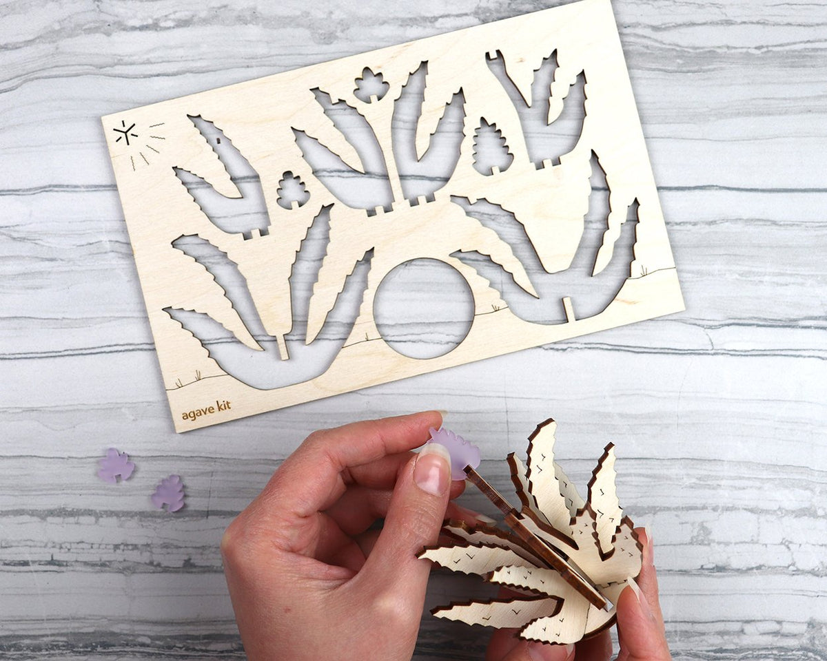 Agave cactus kit unpackaged