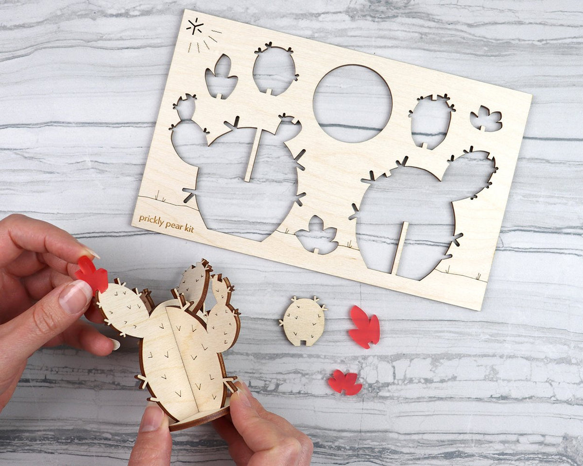 Prickly pear cactus kit unpackaged