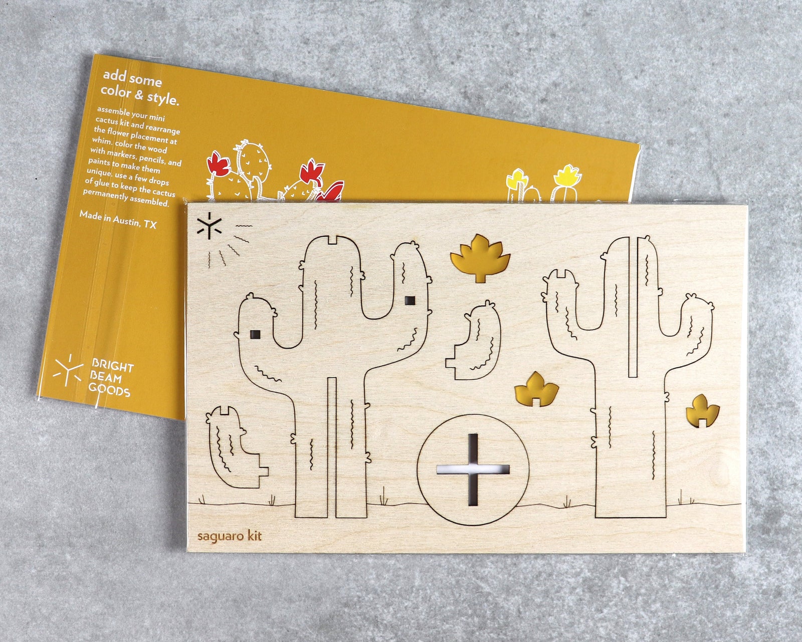 Saguaro cactus kit in packaging